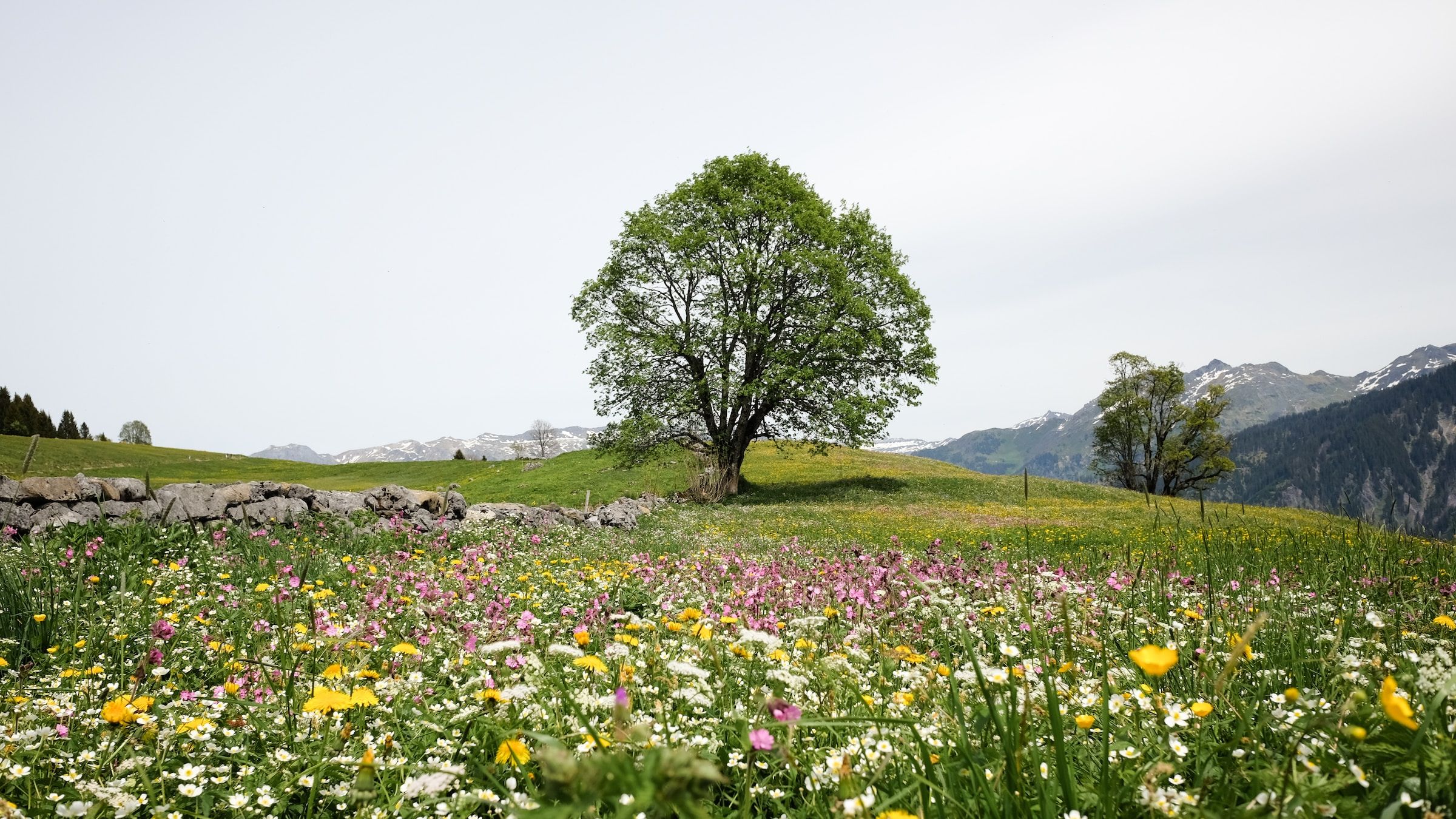 HVAC systems in spring